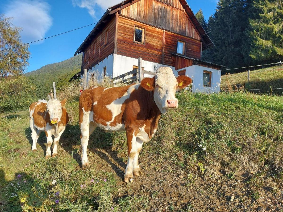 Karlbauer Huette Villa Lendorf Exteriör bild